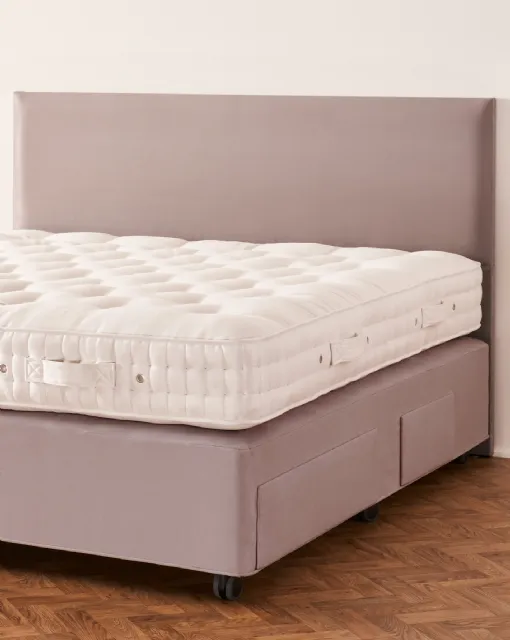 Muses