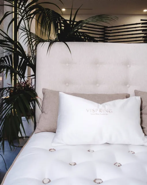 VISPRING